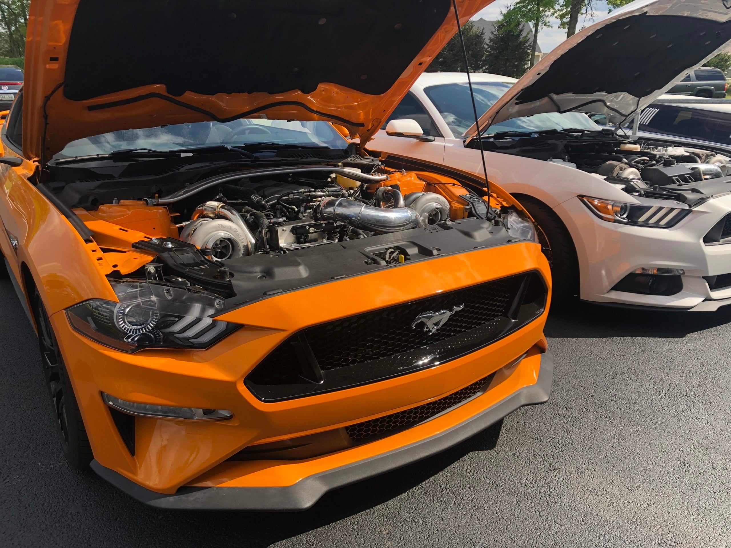 2019 mustang gt performance mods discount