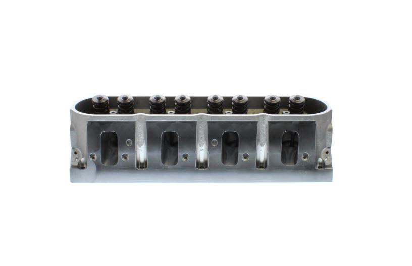 scn Amazon.com: TCMT Engine Stator Cover Crankcase Fit For